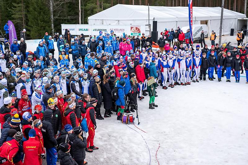 En bild