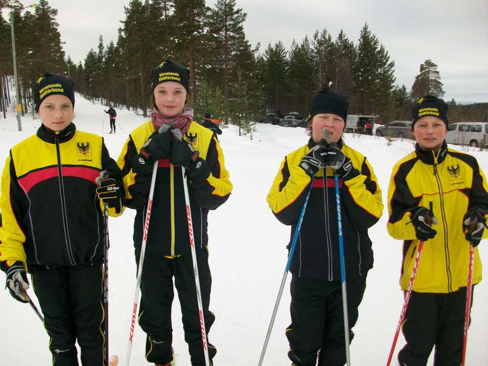 Kalle Anka Cup 2013